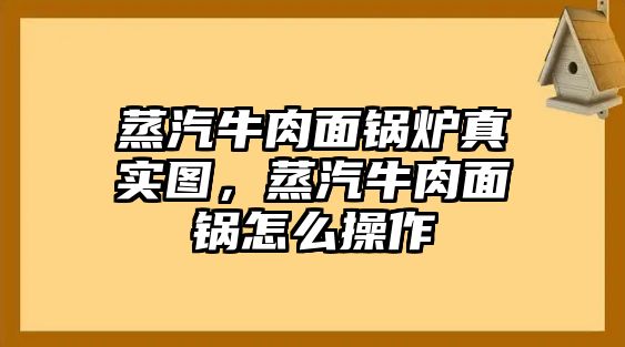 蒸汽牛肉面鍋爐真實(shí)圖，蒸汽牛肉面鍋怎么操作