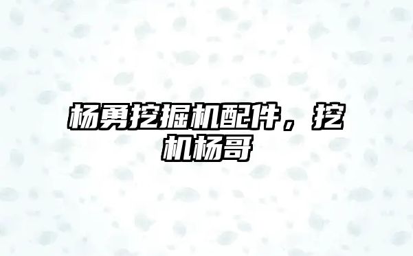 楊勇挖掘機配件，挖機楊哥