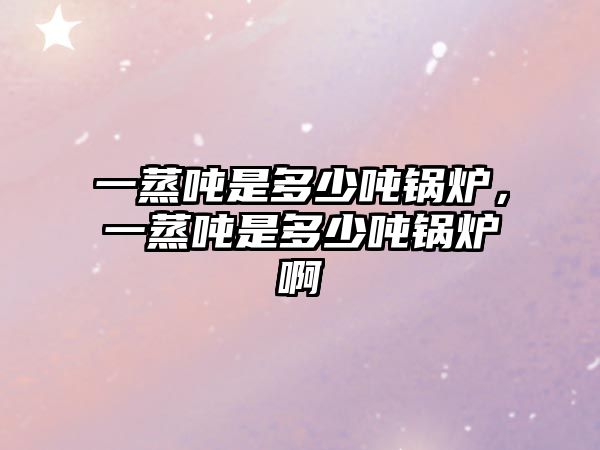 一蒸噸是多少?lài)嶅仩t，一蒸噸是多少?lài)嶅仩t啊