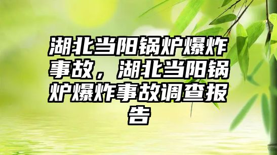 湖北當陽鍋爐爆炸事故，湖北當陽鍋爐爆炸事故調(diào)查報告