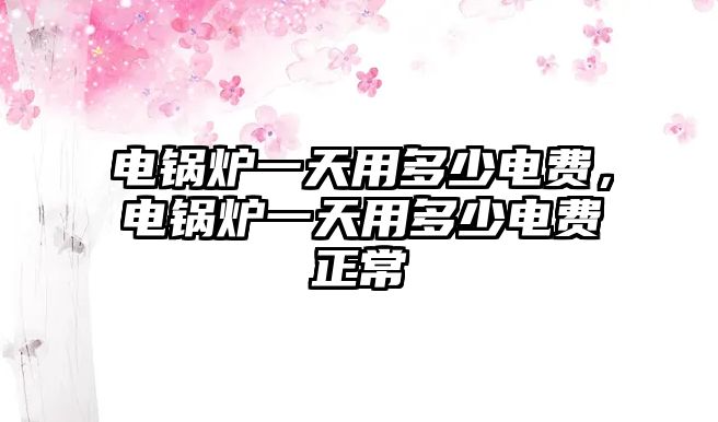 電鍋爐一天用多少電費(fèi)，電鍋爐一天用多少電費(fèi)正常