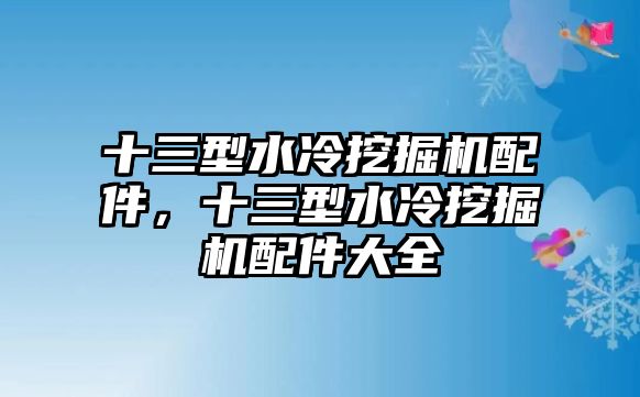 十三型水冷挖掘機配件，十三型水冷挖掘機配件大全