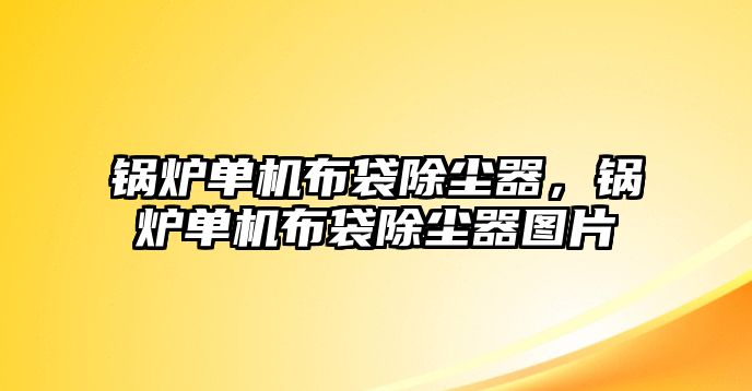 鍋爐單機布袋除塵器，鍋爐單機布袋除塵器圖片