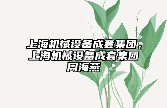 上海機械設(shè)備成套集團，上海機械設(shè)備成套集團周海燕