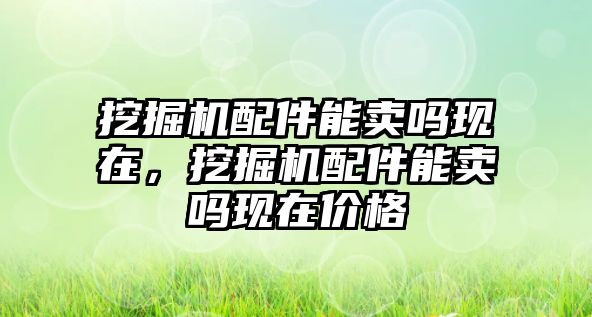 挖掘機配件能賣嗎現在，挖掘機配件能賣嗎現在價格