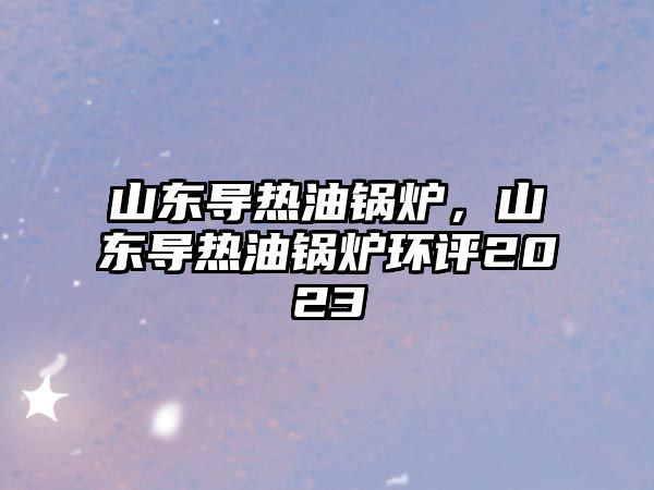 山東導(dǎo)熱油鍋爐，山東導(dǎo)熱油鍋爐環(huán)評(píng)2023