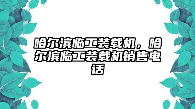 哈爾濱臨工裝載機，哈爾濱臨工裝載機銷售電話