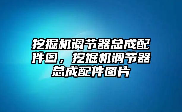 挖掘機(jī)調(diào)節(jié)器總成配件圖，挖掘機(jī)調(diào)節(jié)器總成配件圖片