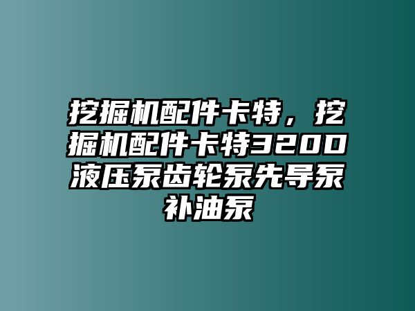 挖掘機(jī)配件卡特，挖掘機(jī)配件卡特320D液壓泵齒輪泵先導(dǎo)泵補(bǔ)油泵