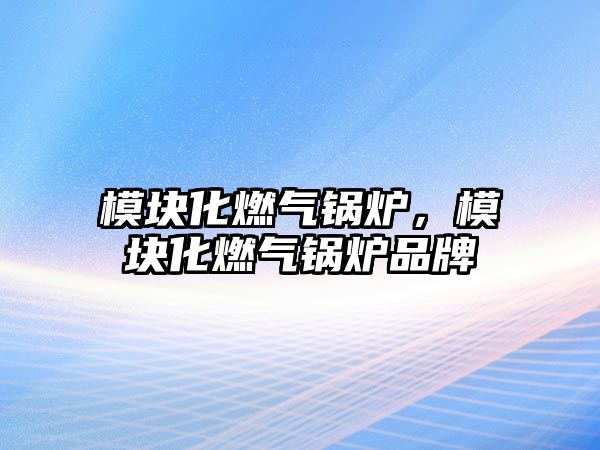 模塊化燃?xì)忮仩t，模塊化燃?xì)忮仩t品牌