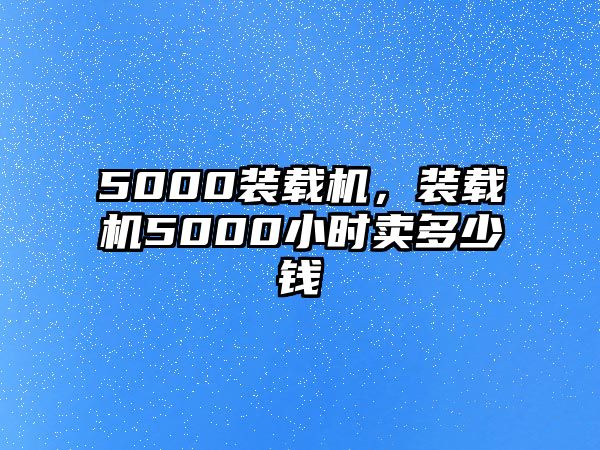 5000裝載機(jī)，裝載機(jī)5000小時(shí)賣多少錢