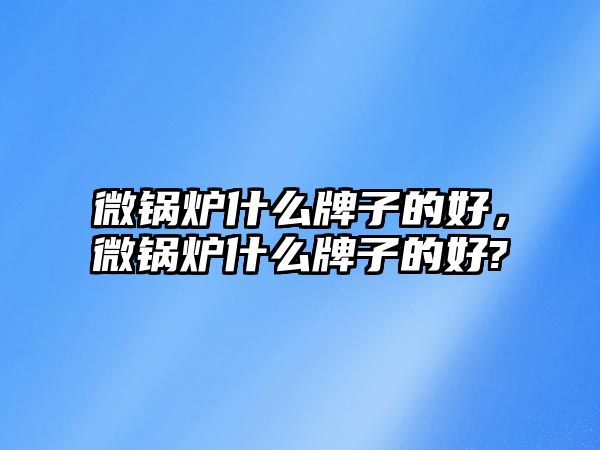 微鍋爐什么牌子的好，微鍋爐什么牌子的好?