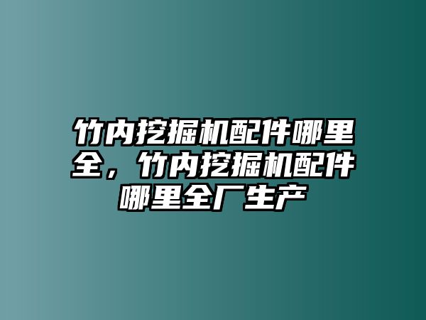 竹內(nèi)挖掘機(jī)配件哪里全，竹內(nèi)挖掘機(jī)配件哪里全廠生產(chǎn)