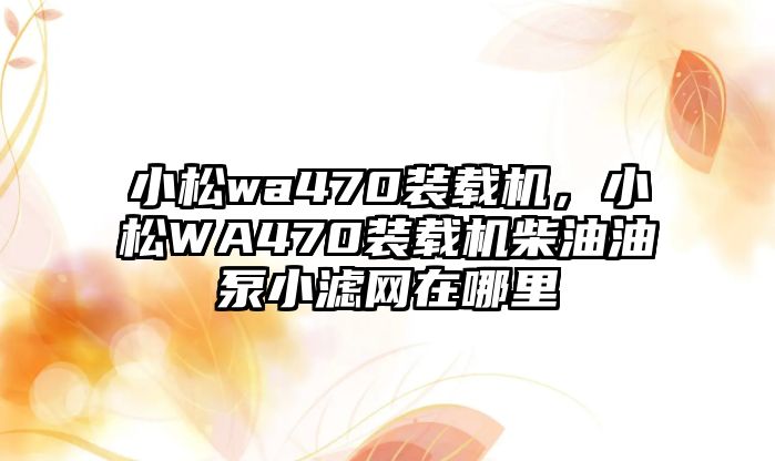 小松wa470裝載機(jī)，小松WA470裝載機(jī)柴油油泵小濾網(wǎng)在哪里