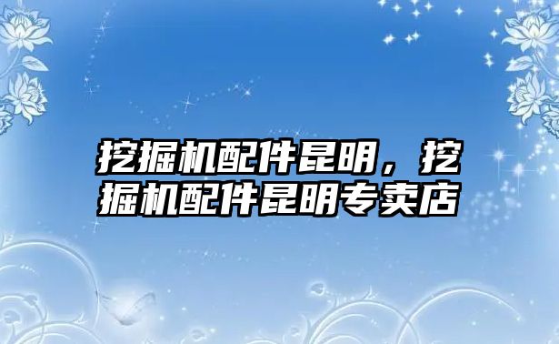 挖掘機配件昆明，挖掘機配件昆明專賣店