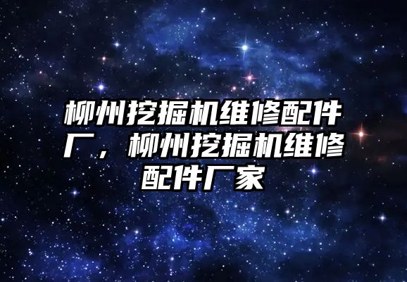 柳州挖掘機(jī)維修配件廠，柳州挖掘機(jī)維修配件廠家