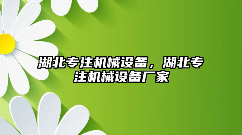 湖北專注機(jī)械設(shè)備，湖北專注機(jī)械設(shè)備廠家