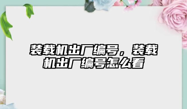 裝載機出廠編號，裝載機出廠編號怎么看