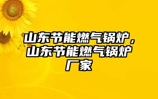 山東節(jié)能燃?xì)忮仩t，山東節(jié)能燃?xì)忮仩t廠家