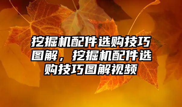 挖掘機配件選購技巧圖解，挖掘機配件選購技巧圖解視頻