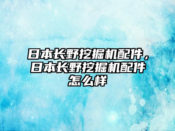 日本長野挖掘機(jī)配件，日本長野挖掘機(jī)配件怎么樣