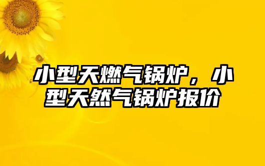 小型天燃?xì)忮仩t，小型天然氣鍋爐報(bào)價(jià)