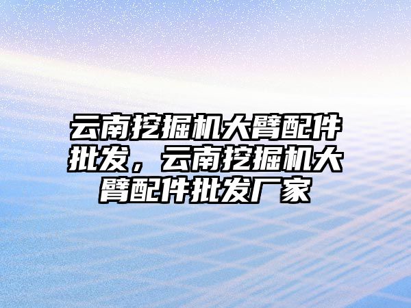 云南挖掘機大臂配件批發(fā)，云南挖掘機大臂配件批發(fā)廠家