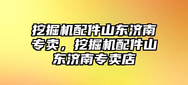 挖掘機配件山東濟南專賣，挖掘機配件山東濟南專賣店