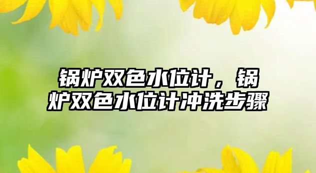 鍋爐雙色水位計(jì)，鍋爐雙色水位計(jì)沖洗步驟