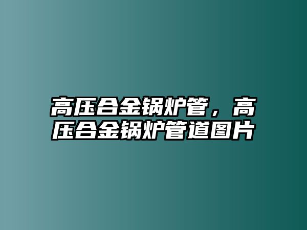 高壓合金鍋爐管，高壓合金鍋爐管道圖片