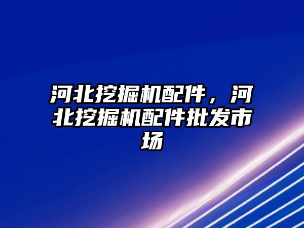 河北挖掘機(jī)配件，河北挖掘機(jī)配件批發(fā)市場(chǎng)