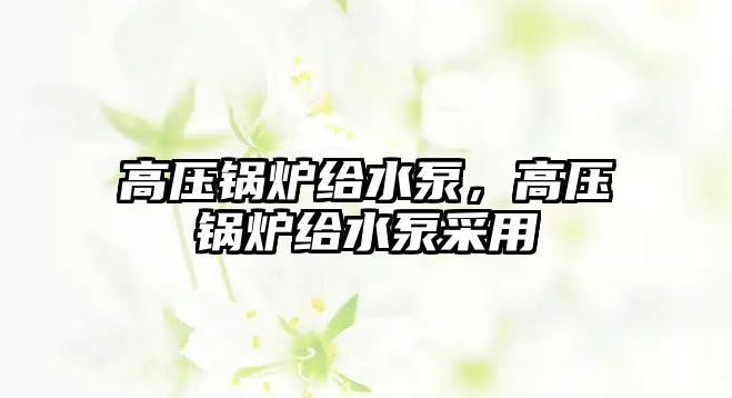 高壓鍋爐給水泵，高壓鍋爐給水泵采用