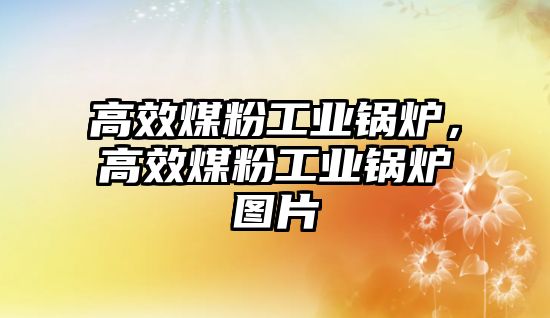 高效煤粉工業(yè)鍋爐，高效煤粉工業(yè)鍋爐圖片