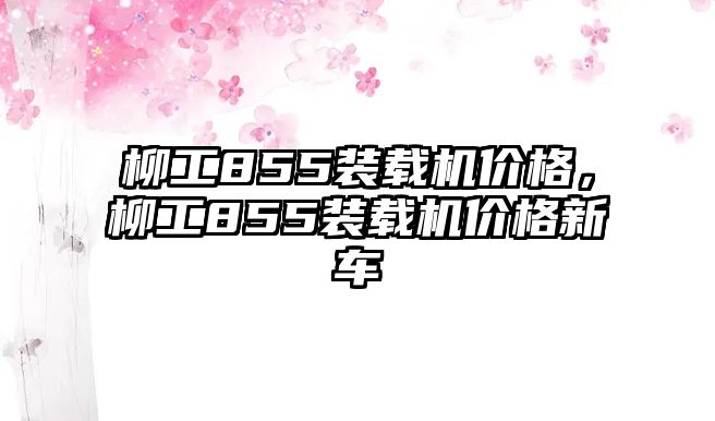 柳工855裝載機價格，柳工855裝載機價格新車