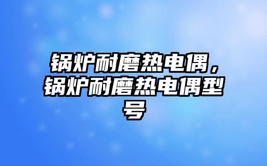 鍋爐耐磨熱電偶，鍋爐耐磨熱電偶型號