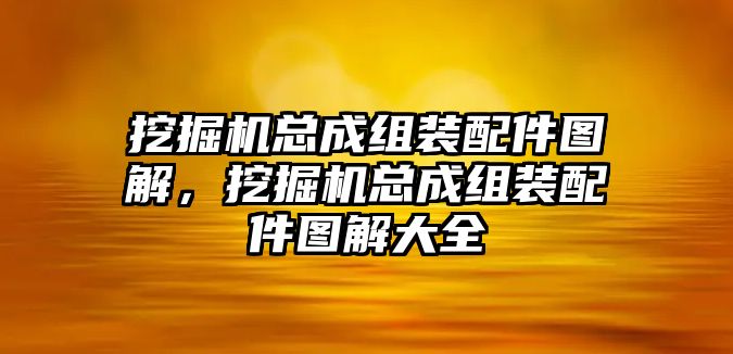 挖掘機總成組裝配件圖解，挖掘機總成組裝配件圖解大全