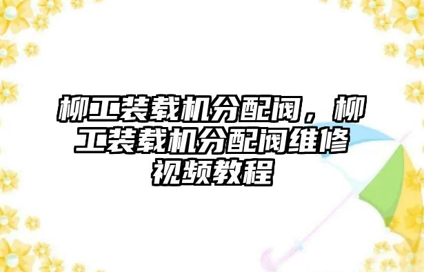 柳工裝載機分配閥，柳工裝載機分配閥維修視頻教程