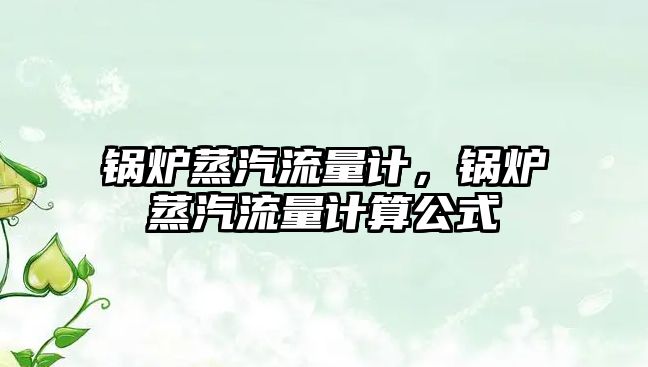 鍋爐蒸汽流量計(jì)，鍋爐蒸汽流量計(jì)算公式