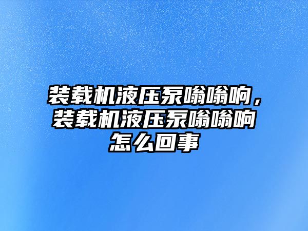 裝載機液壓泵嗡嗡響，裝載機液壓泵嗡嗡響怎么回事