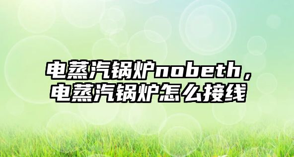 電蒸汽鍋爐nobeth，電蒸汽鍋爐怎么接線