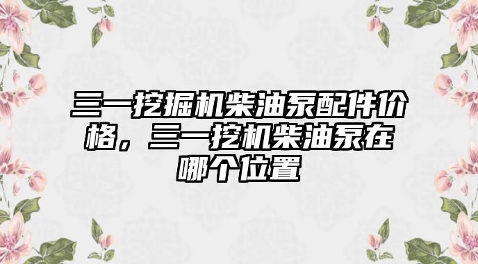 三一挖掘機柴油泵配件價格，三一挖機柴油泵在哪個位置