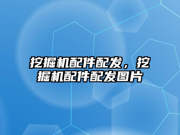 挖掘機配件配發(fā)，挖掘機配件配發(fā)圖片