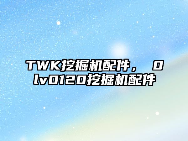 TWK挖掘機配件，ⅴ0lv0120挖掘機配件