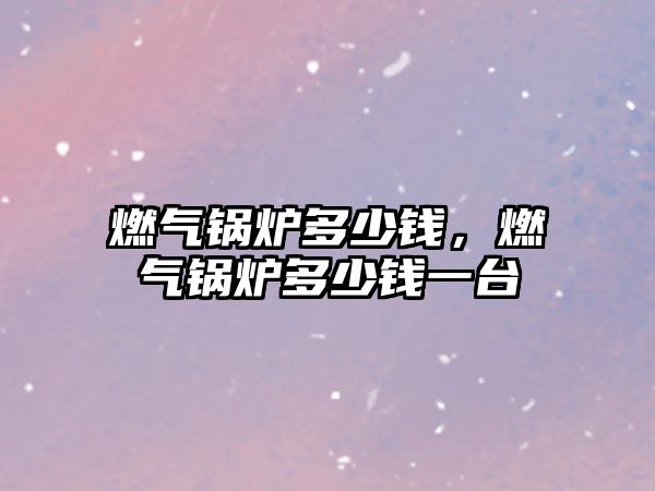 燃?xì)忮仩t多少錢，燃?xì)忮仩t多少錢一臺(tái)