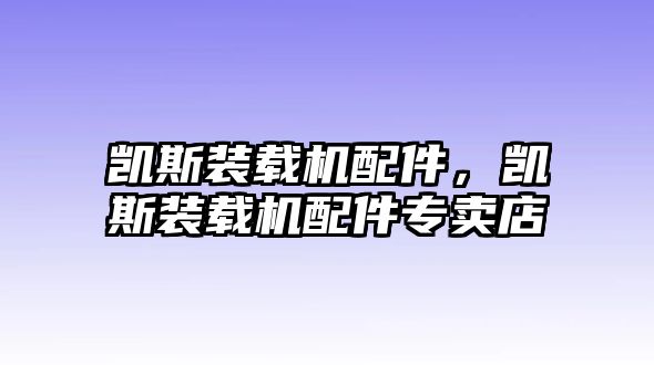 凱斯裝載機(jī)配件，凱斯裝載機(jī)配件專賣店