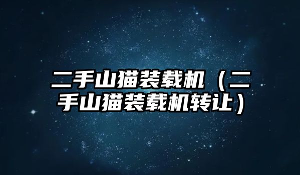 二手山貓裝載機（二手山貓裝載機轉(zhuǎn)讓）