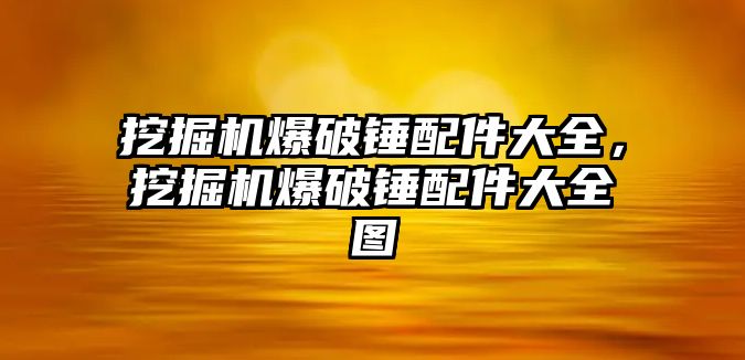 挖掘機爆破錘配件大全，挖掘機爆破錘配件大全圖