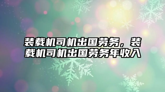 裝載機司機出國勞務，裝載機司機出國勞務年收入