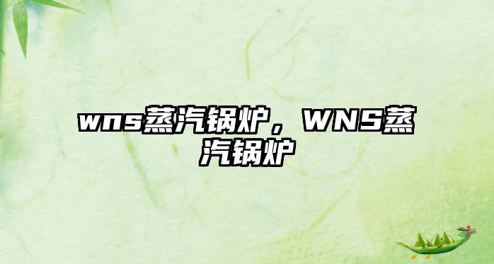 wns蒸汽鍋爐，WNS蒸汽鍋爐