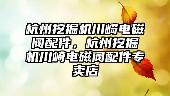 杭州挖掘機川崎電磁閥配件，杭州挖掘機川崎電磁閥配件專賣店